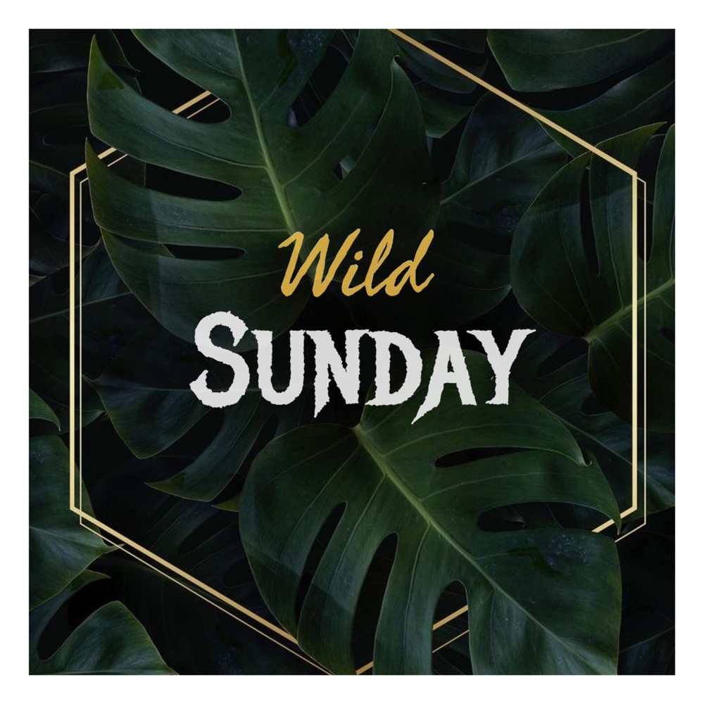SUNDAY 3/15 👉🏼